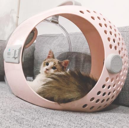 618养猫好物,养猫好物大全集