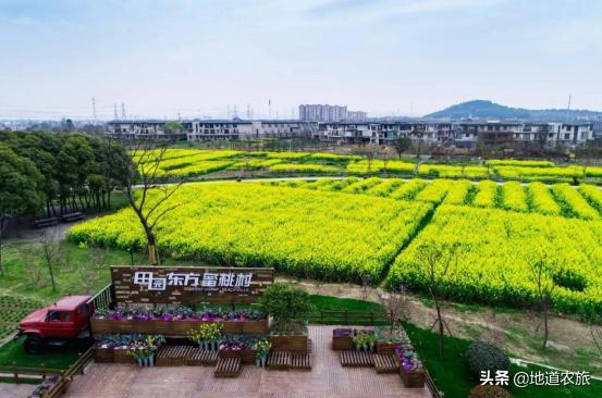 无锡田园东方怎么样,无锡东方田园综合体