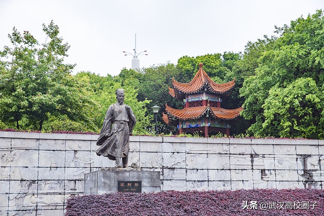 爸妈我想回家视频,爸妈我想回家了原视频