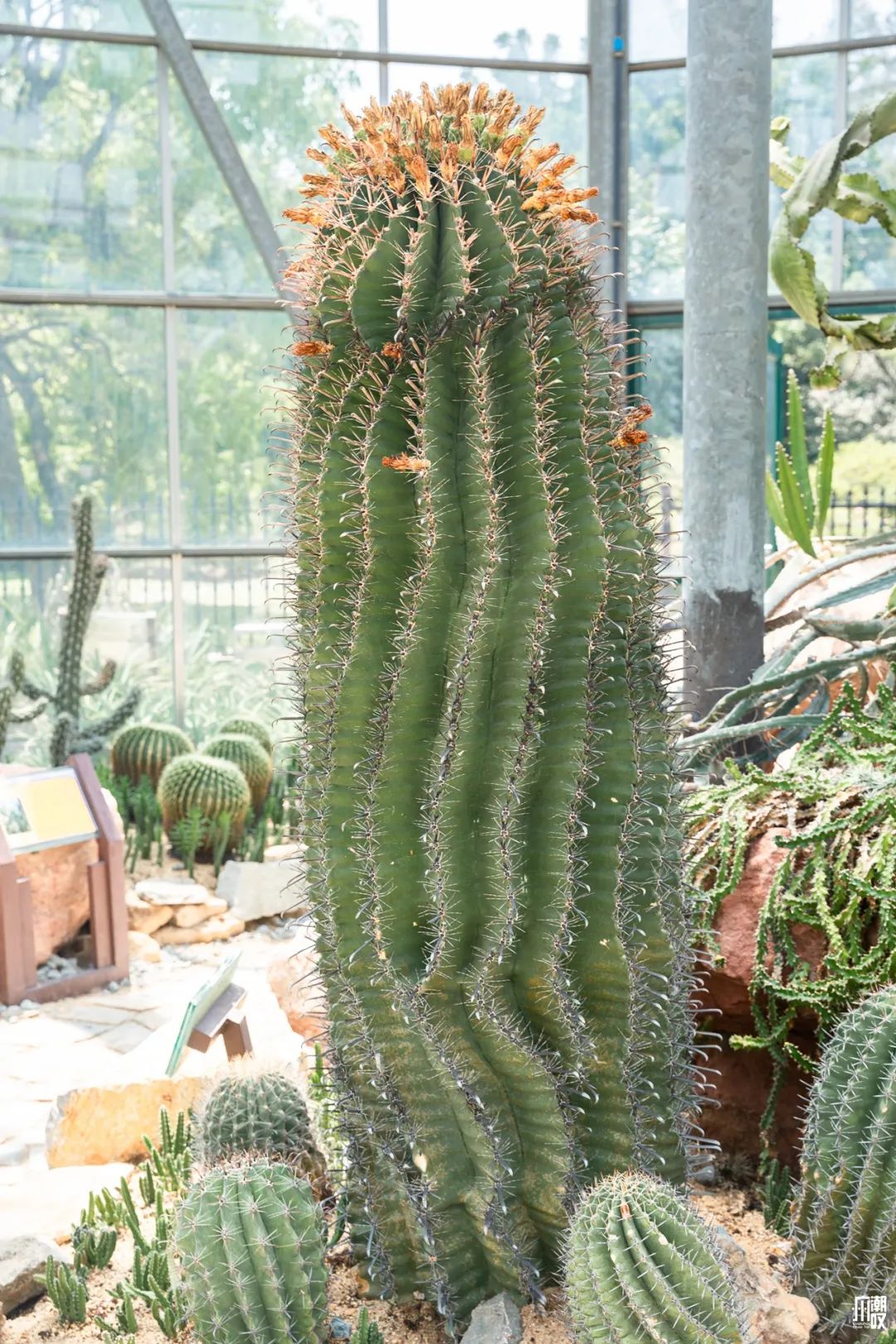 300+万㎡原始森林秘境，天河就有