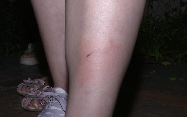 一女子高空抛物后续,一女子持续高空抛物后续