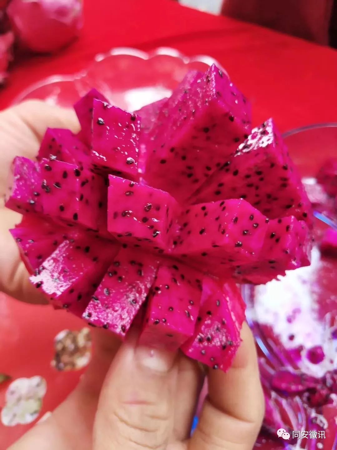 桂林平乐美食攻略,广西桂林平乐县特色美食