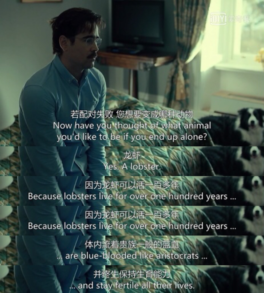 单身太久会变成单身狗,单身久了变狗