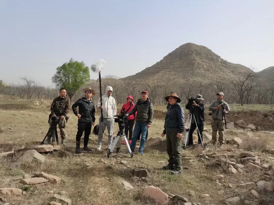 马志丹追忆黄永玉,马志丹纪录片分析