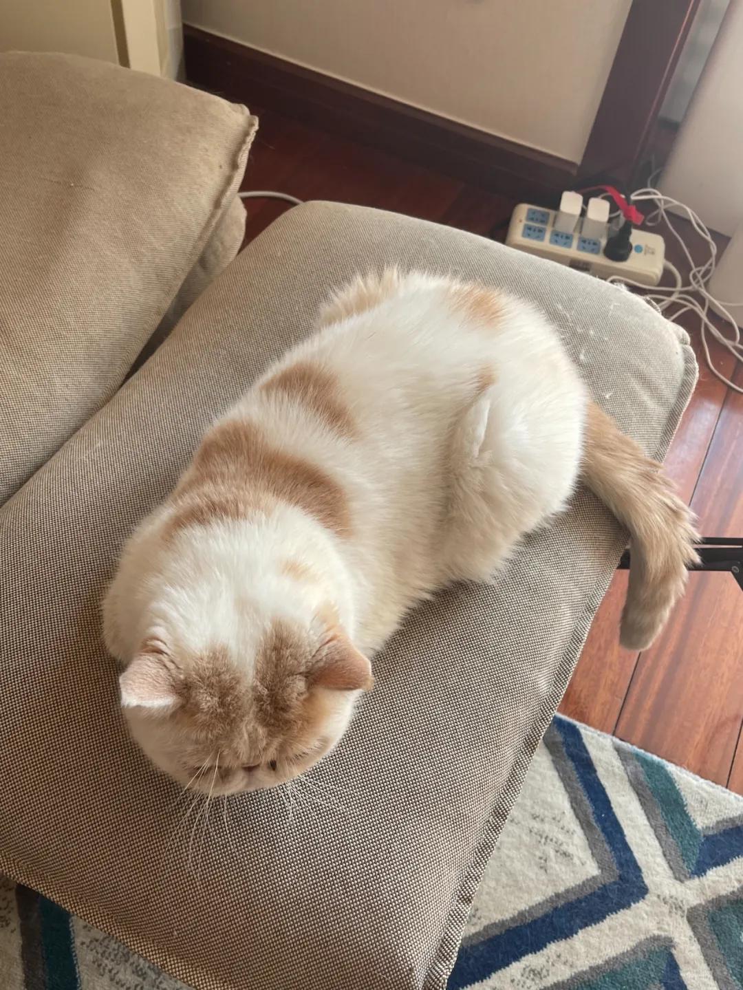 不要买闲置的东西,不要买太多不必要的东西