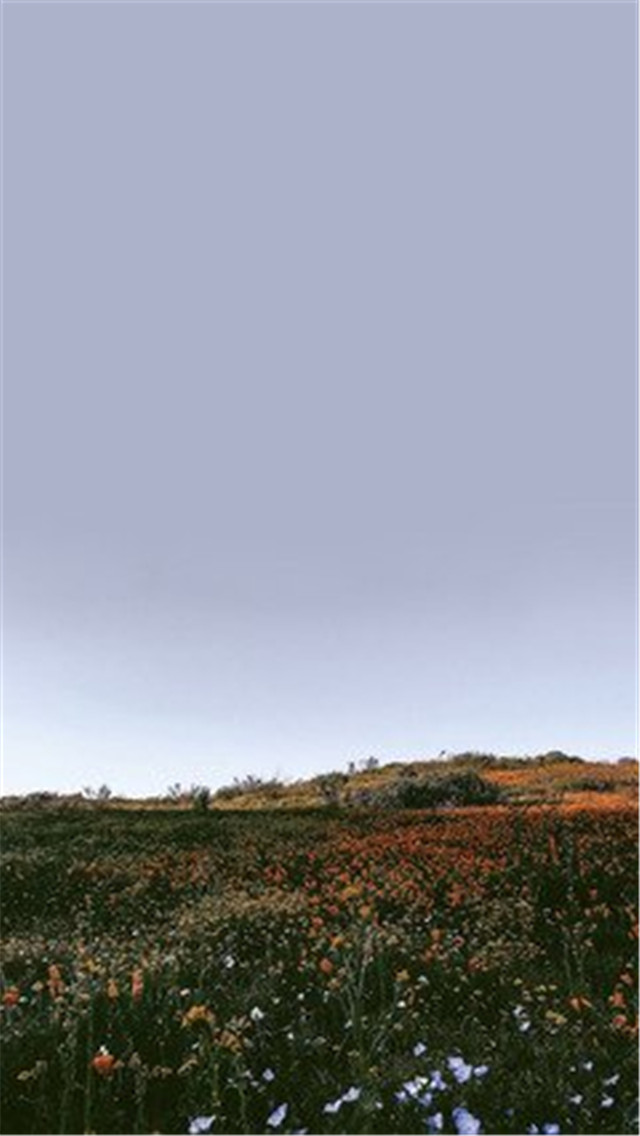 高清壁纸8k风景壁纸,风景壁纸超清手机壁纸