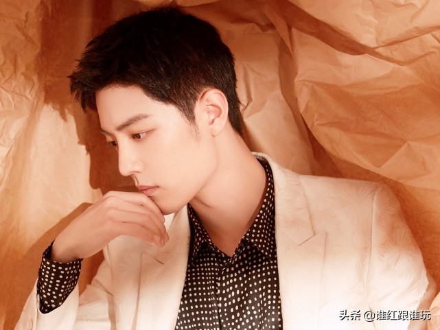 央视网发文盘点粉丝乱象！肖战大粉赫然在列，快本主持人再被点名