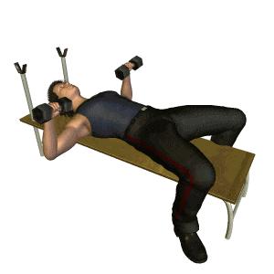 怎么锻炼胸肌中缝最有效速成方法,胸部如何训练才能更加有型