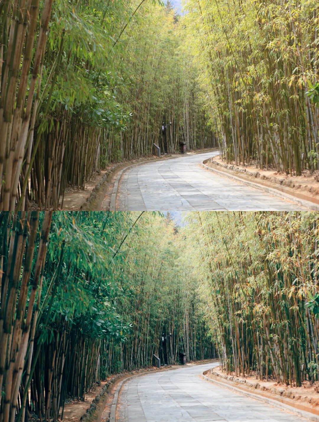 经典复古胶片风,最好看的胶片风格