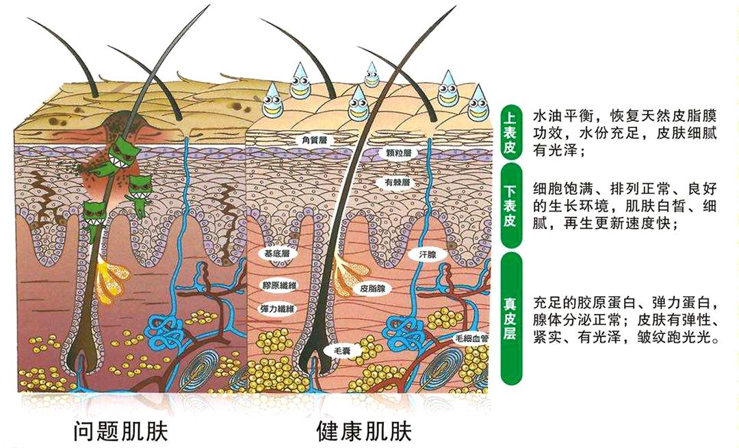 面膜真的有用吗有科学依据么知乎,敷面膜真的有很大作用吗