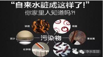 「头条」开水烫三次都杀不死的虫子，不用净水器过滤还能用什么？