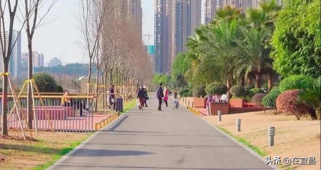 牛!这样的伍家岗,你怎能不爱