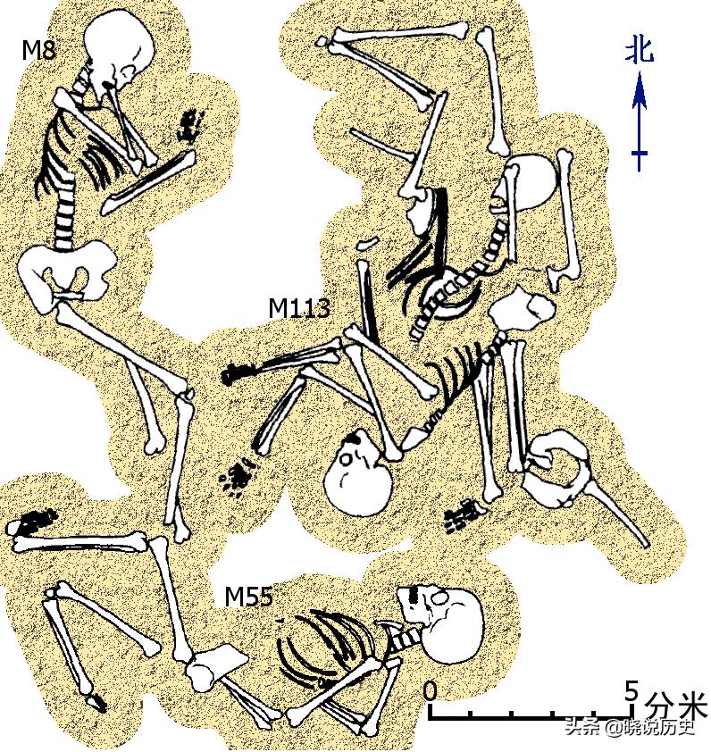 夏朝从2070年到1600年什么意思,夏朝距今4100年历史