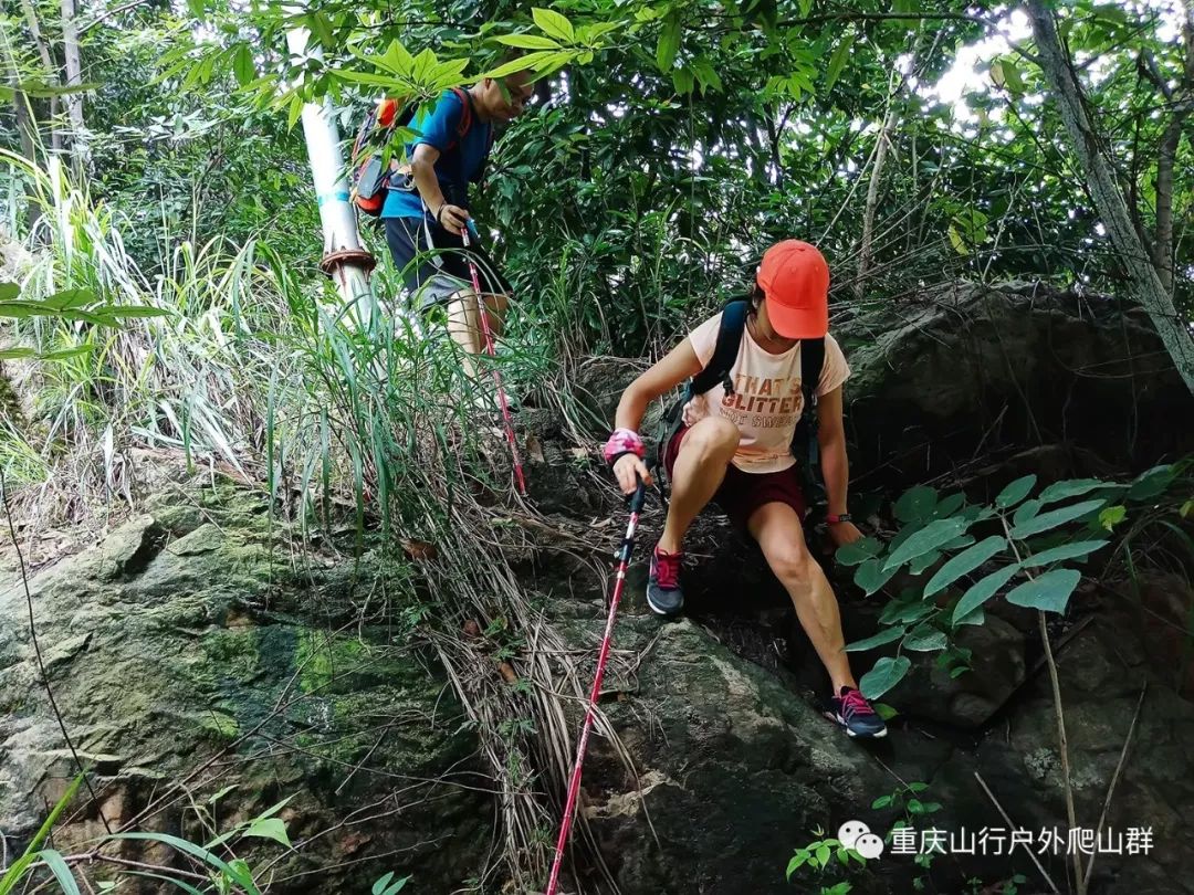 登山杖上山和下山的使用方法,鲁滨逊登山杖的正确使用方法