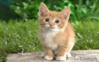 快乐星期六剪辑,快乐星期六摆造型