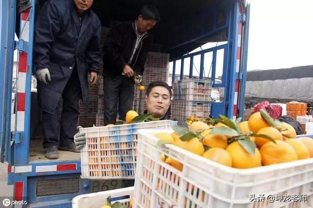 一个水果店凭什么能一年卖200亿,一家水果店一年利润可以上千万吗