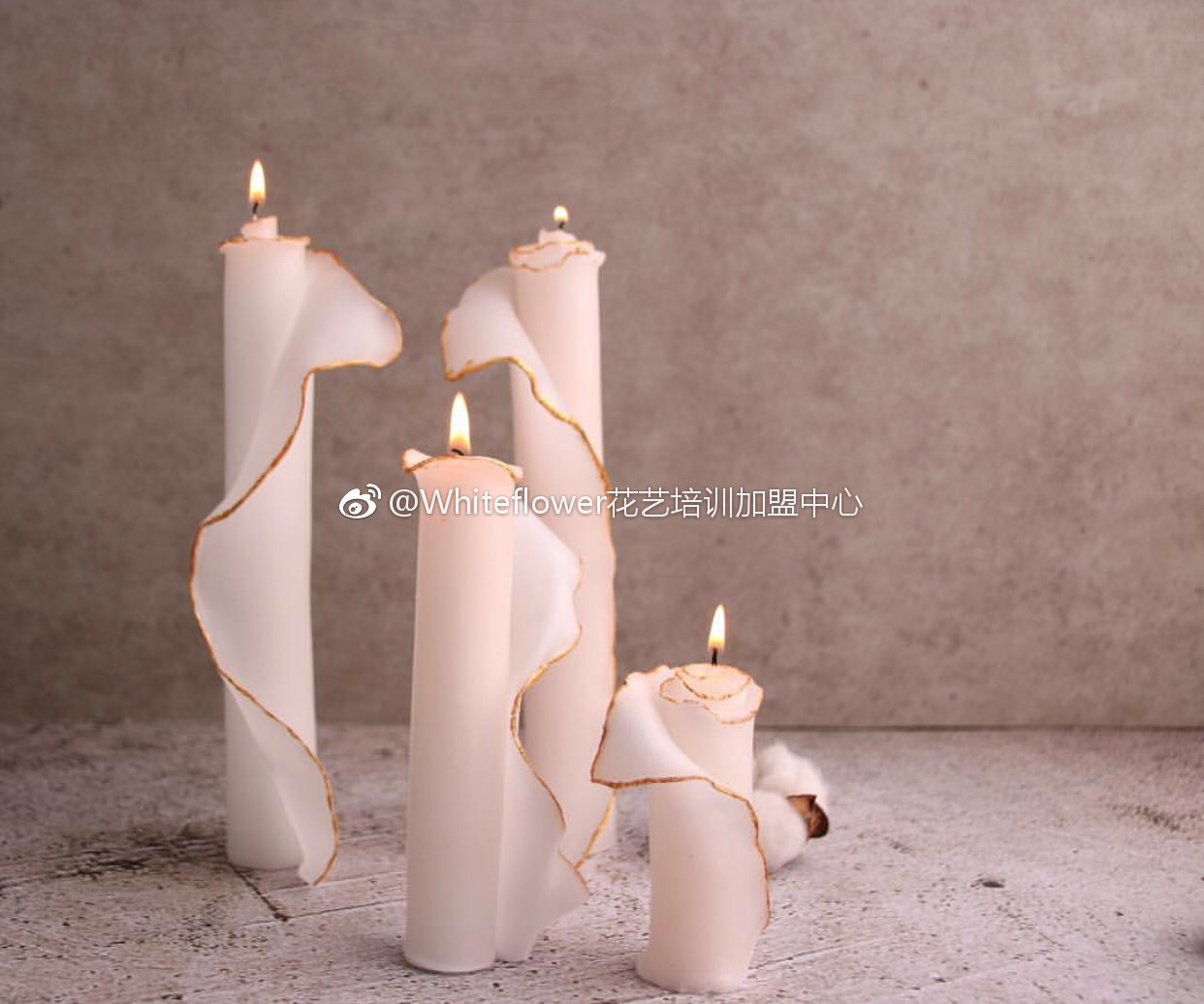 whiteflower闂ㄥ簵,whiteflower