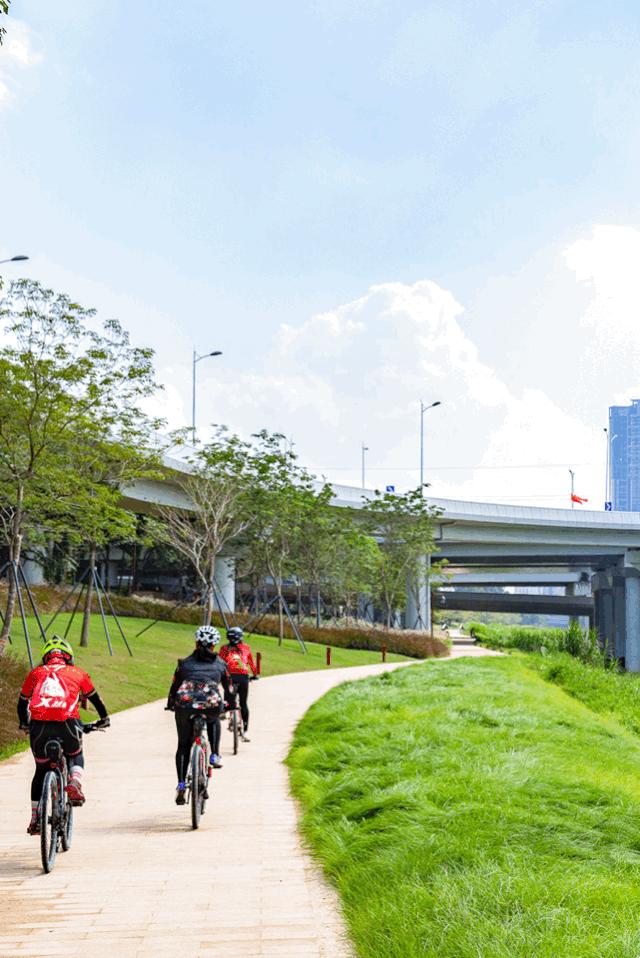 盼了1年！南山新地标“塞纳河”惊艳露面