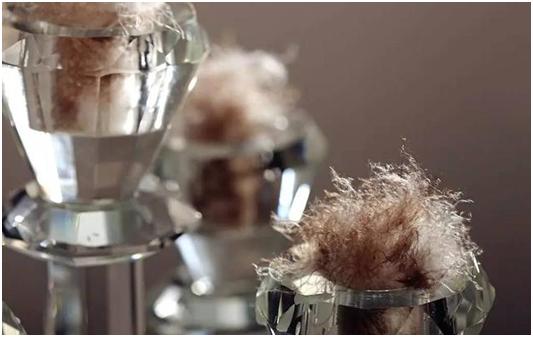 在淘宝上怎么选羽绒服,怎么在淘宝上买到质量好的羽绒服