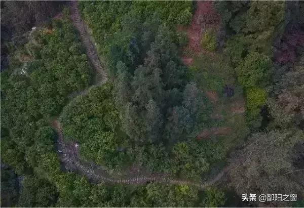 甯備簳椋庢儏杩樻槸甯備簳椋庡厜,甯備簳姘旀伅椋庢櫙