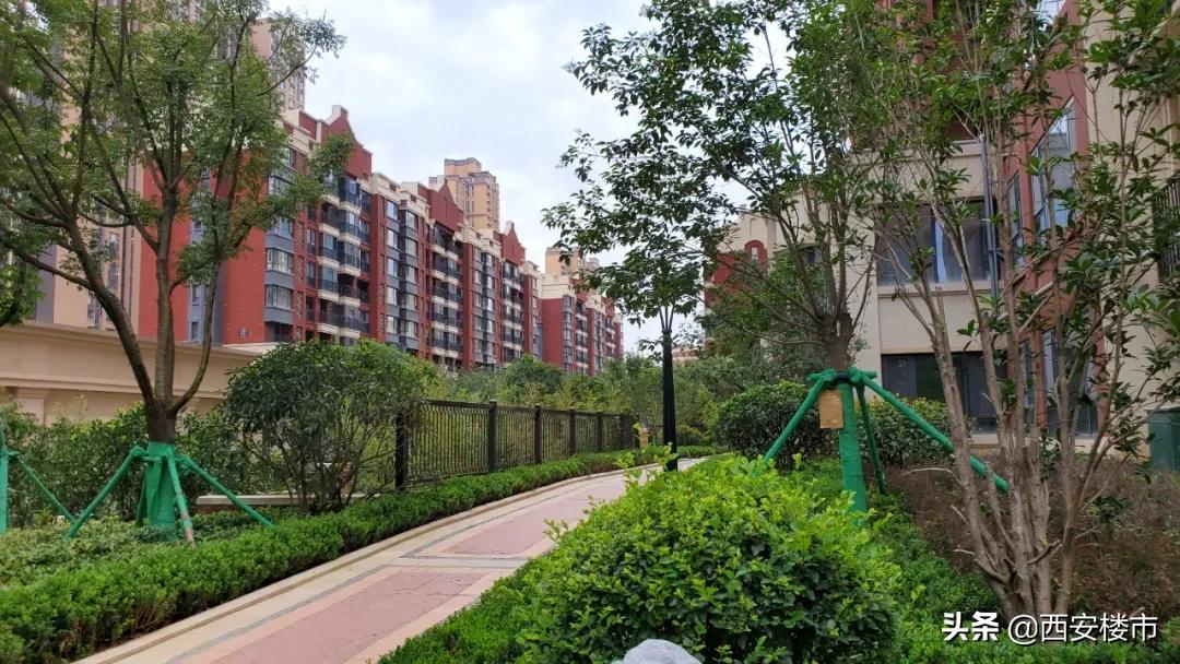 南湖艺境一期小区环境图片,南湖艺境一期详细地址