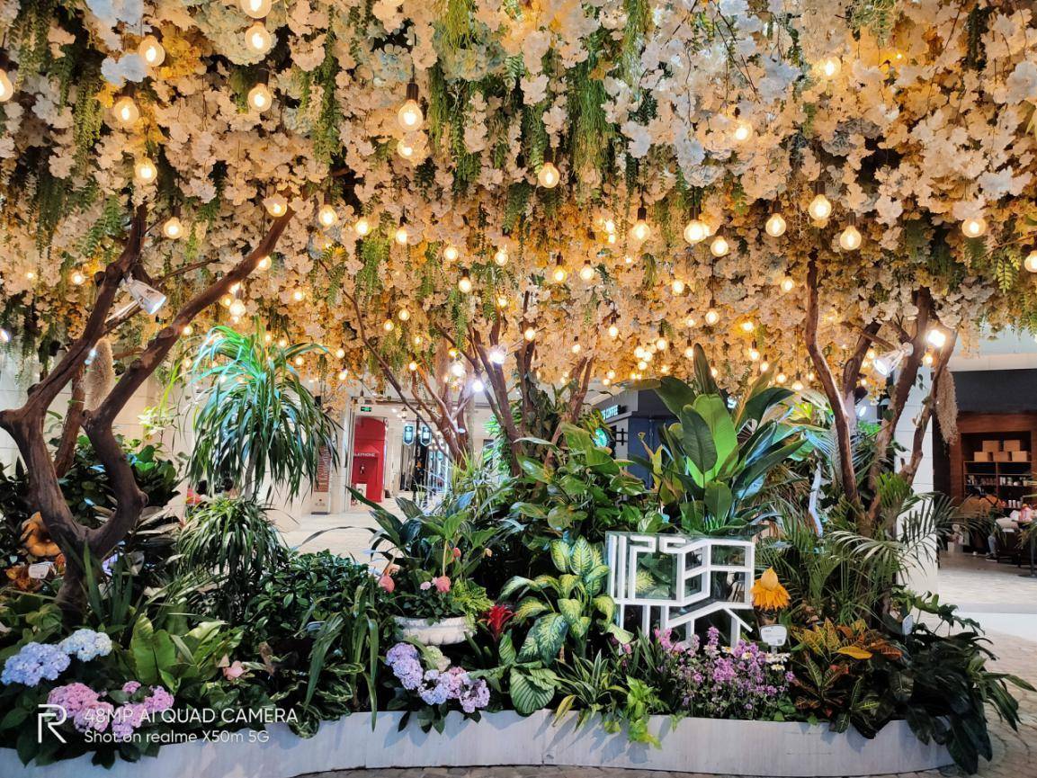 realmex50m5g是什么手机,realmex50m测评