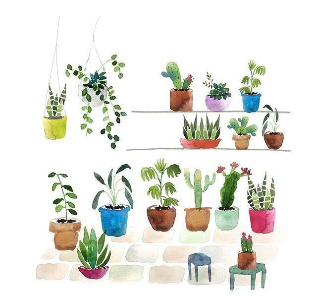 一组小清新的水彩绘画绿植素材,手绘水彩植物手帐