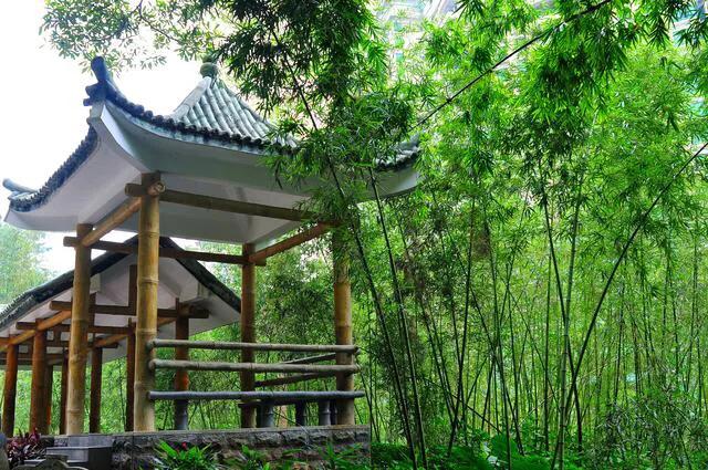 深圳主题公园推荐,深圳爱国主义主题公园