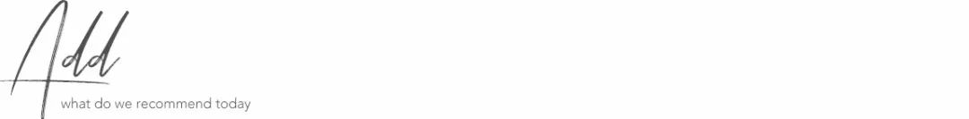 2019宠物排名,2022宠物排行榜