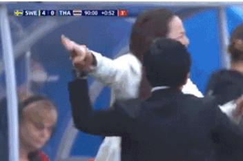 女足世界杯决赛美女如云,女足世界杯大妈