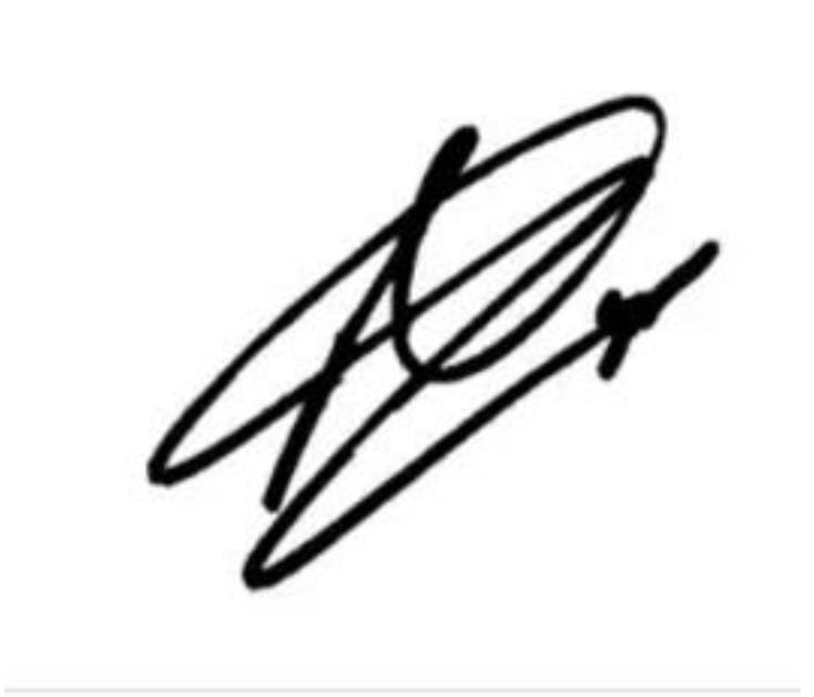 冰岛足球队维京战吼16年,冰岛国家队维京战吼