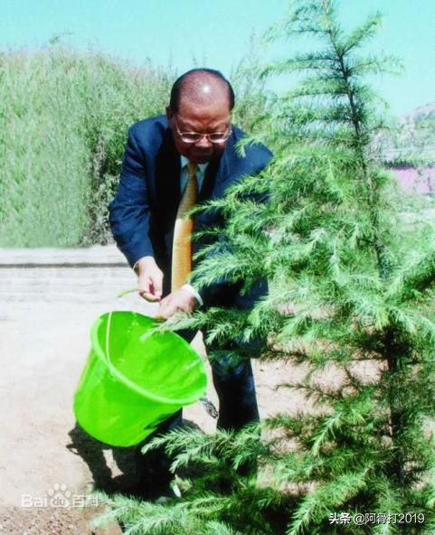 嘉祥曾子故里图片,嘉祥曾子庙简介和历史