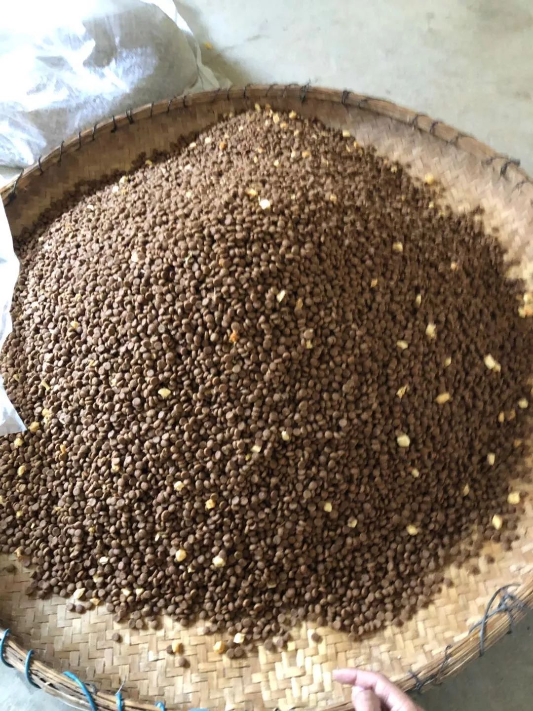 带冻干的狗粮推荐大品牌,猫狗粮推荐排行榜