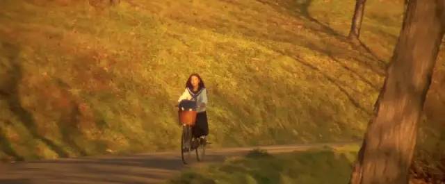 岩井俊二镜头下的美好,岩井俊二的电影你看过几部