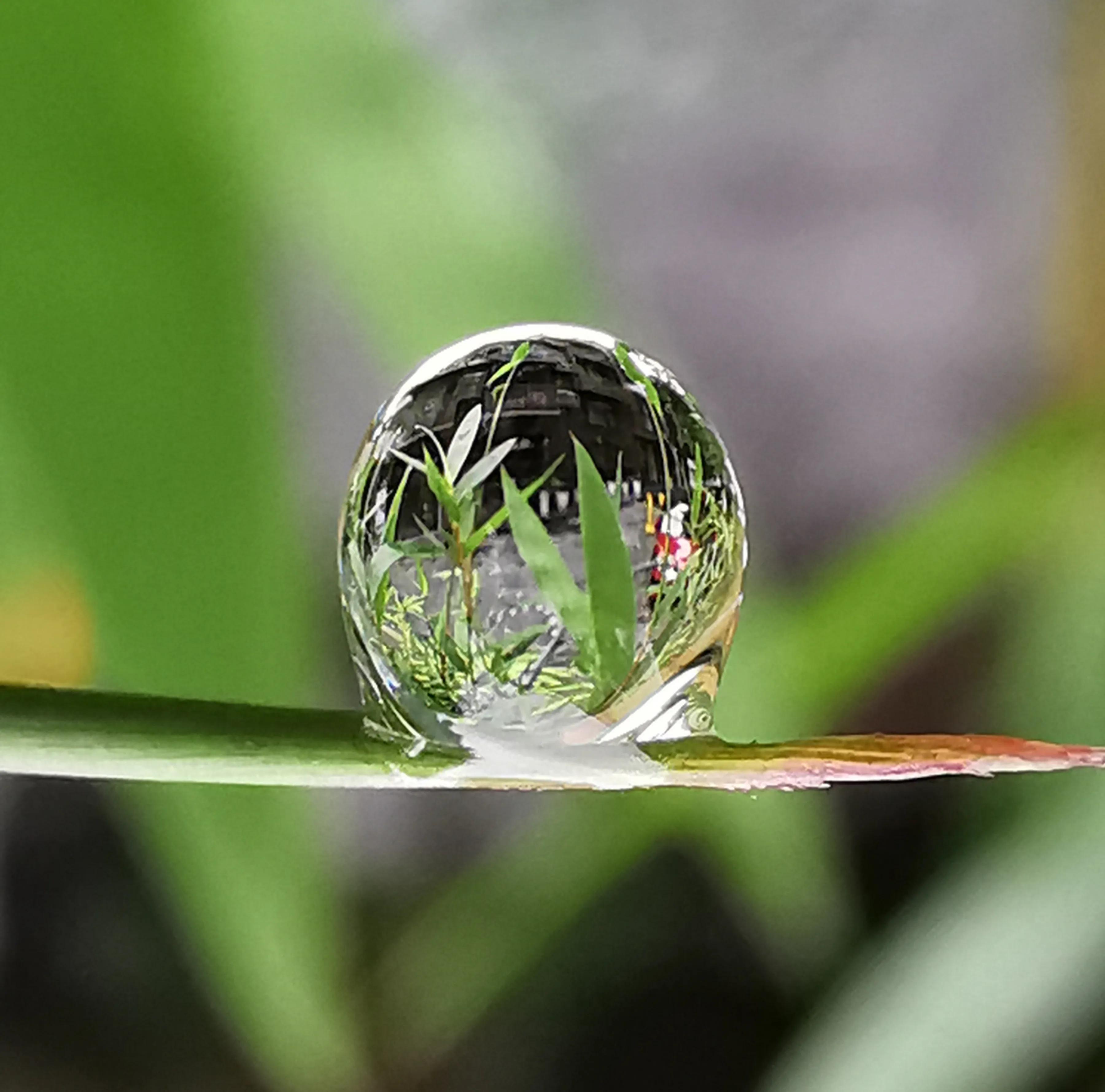 手拍世界手机摄影平台,手拍世界摄影交流平台
