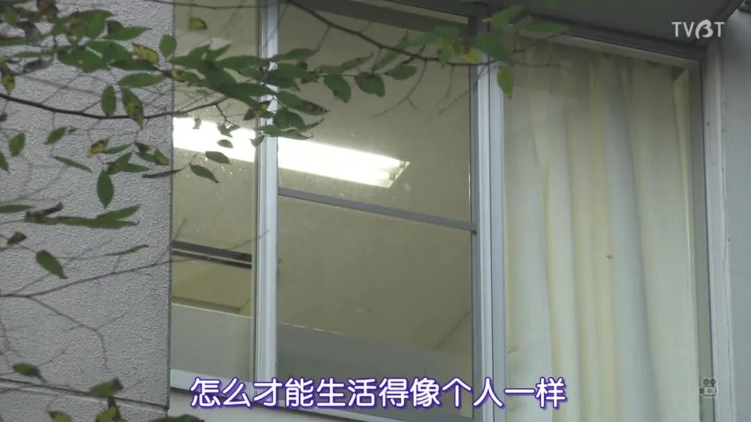 远离一片净土安抚浮躁的内心,如何安抚躁动不安的内心