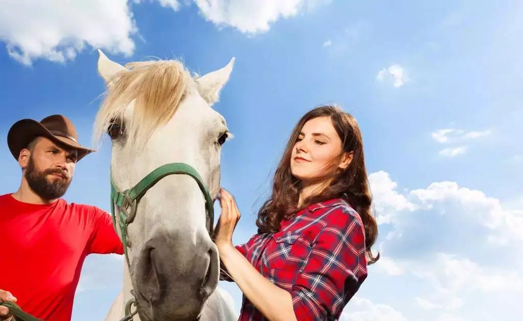 属相婚配表大全88年属龙最佳婚配,属相婚配表金木水火土