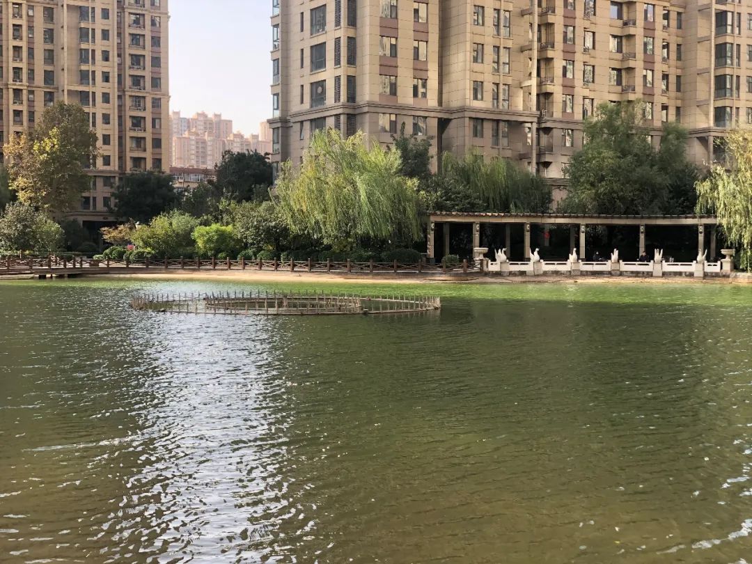 实探一线湖景房,石家庄房产探盘排行榜前十名