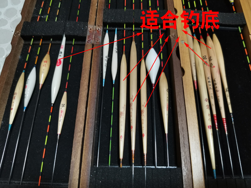 如何钓鲮鱼教你一招,钓鲮鱼饵料怎么搭配