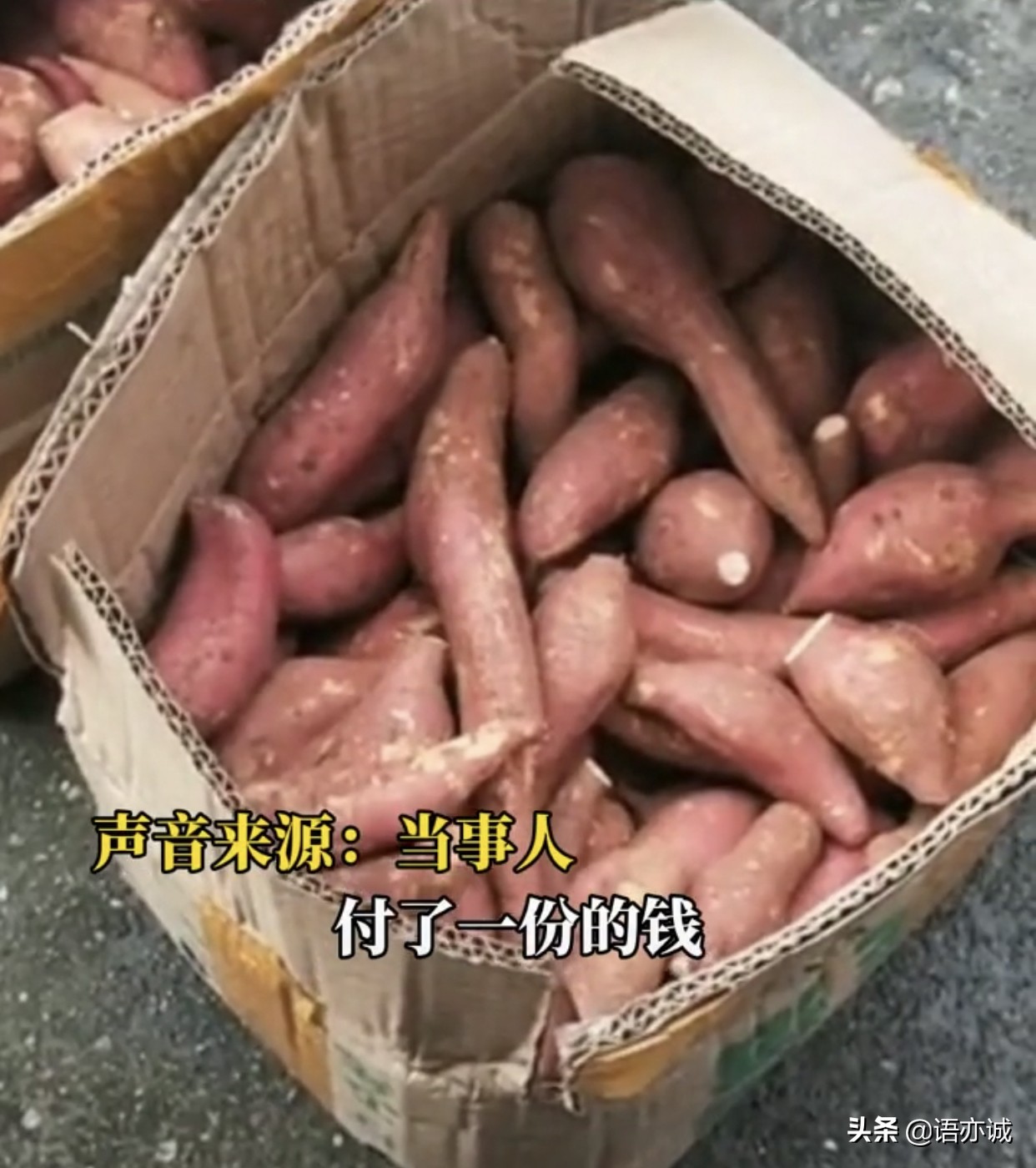 女子在网上买红薯，买一份却收到多份，钱被自动扣款是怎么回事？