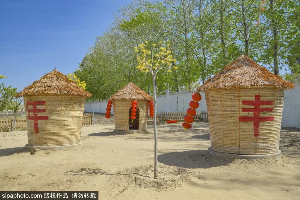 薰衣草花海真是太美了,北京薰衣草花海打卡网红地