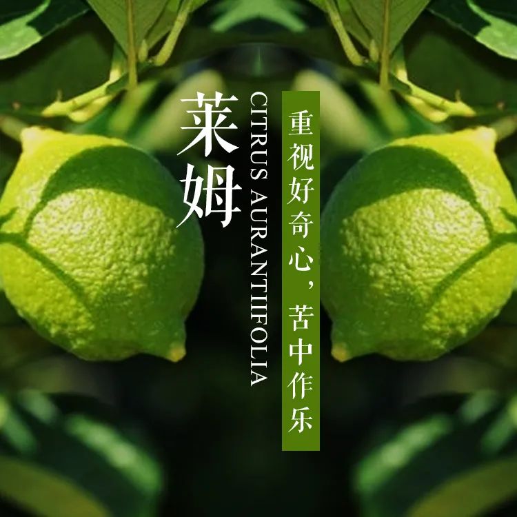 安神舒缓精油怎么调配,各种精油的调配方法和功效