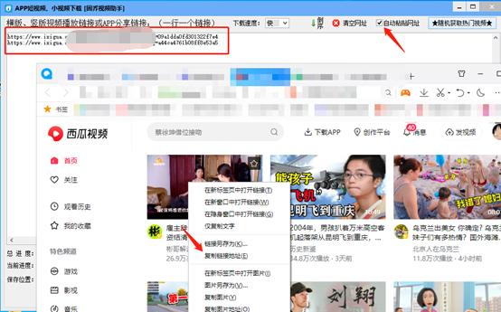 批量下载西瓜视频最好的软件,西瓜视频免费批量采集软件
