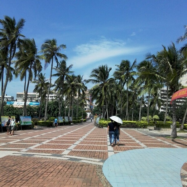 海口悠闲之旅深度体验椰城风情,椰海风情海口