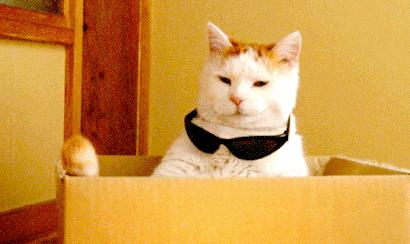 海边度假推荐小众五一,年轻人治愈系五一度假攻略