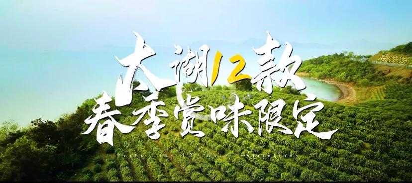 太湖新开盘楼盘,太湖新进新房