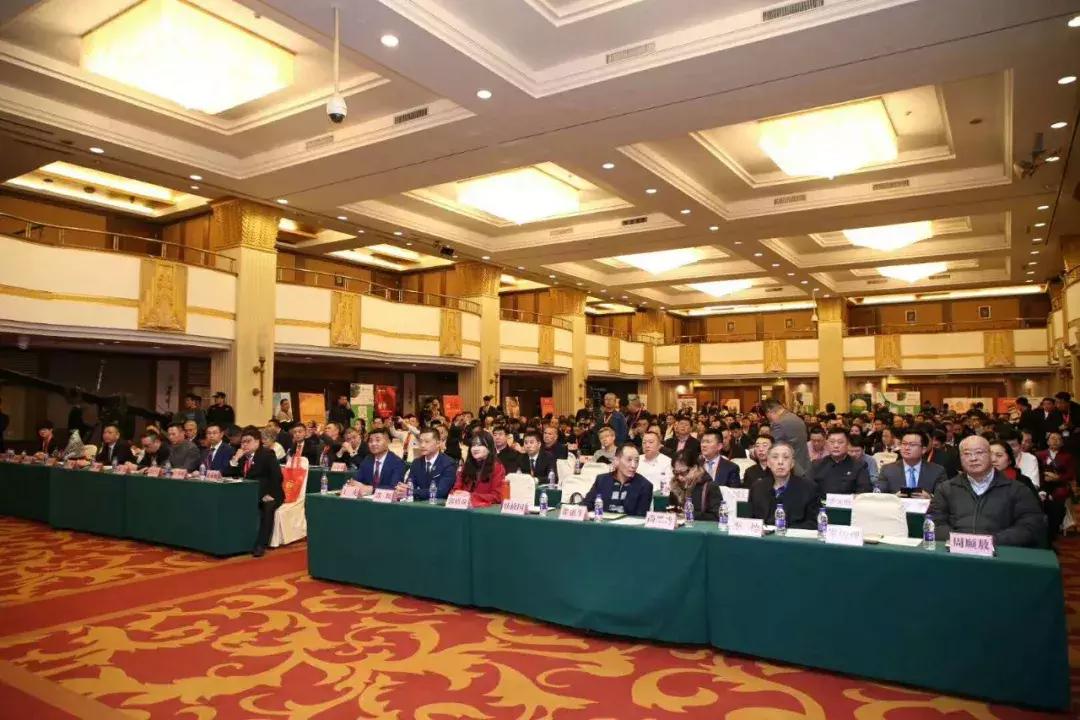 康正汽车集团最新消息,康正汽车集团2023最新信息