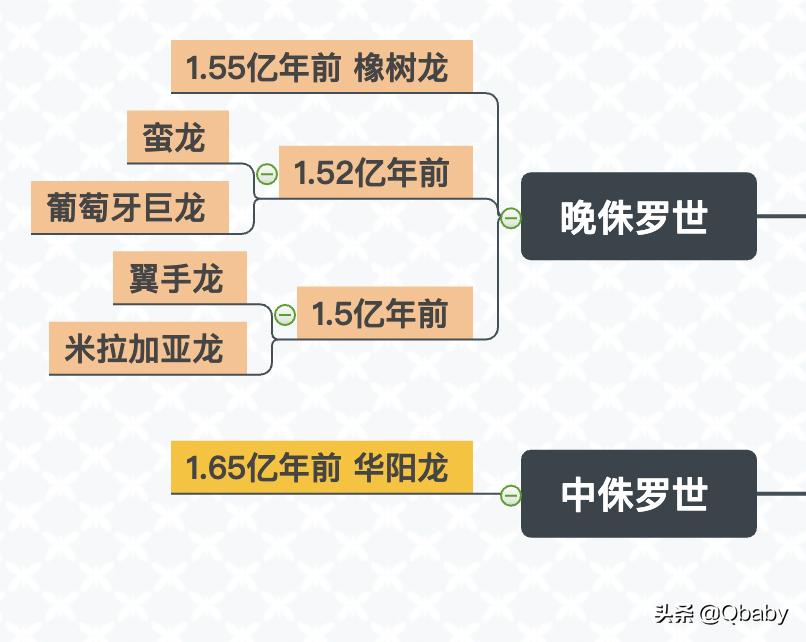 恐龙大百科恐龙探秘,恐龙探秘恐龙化石