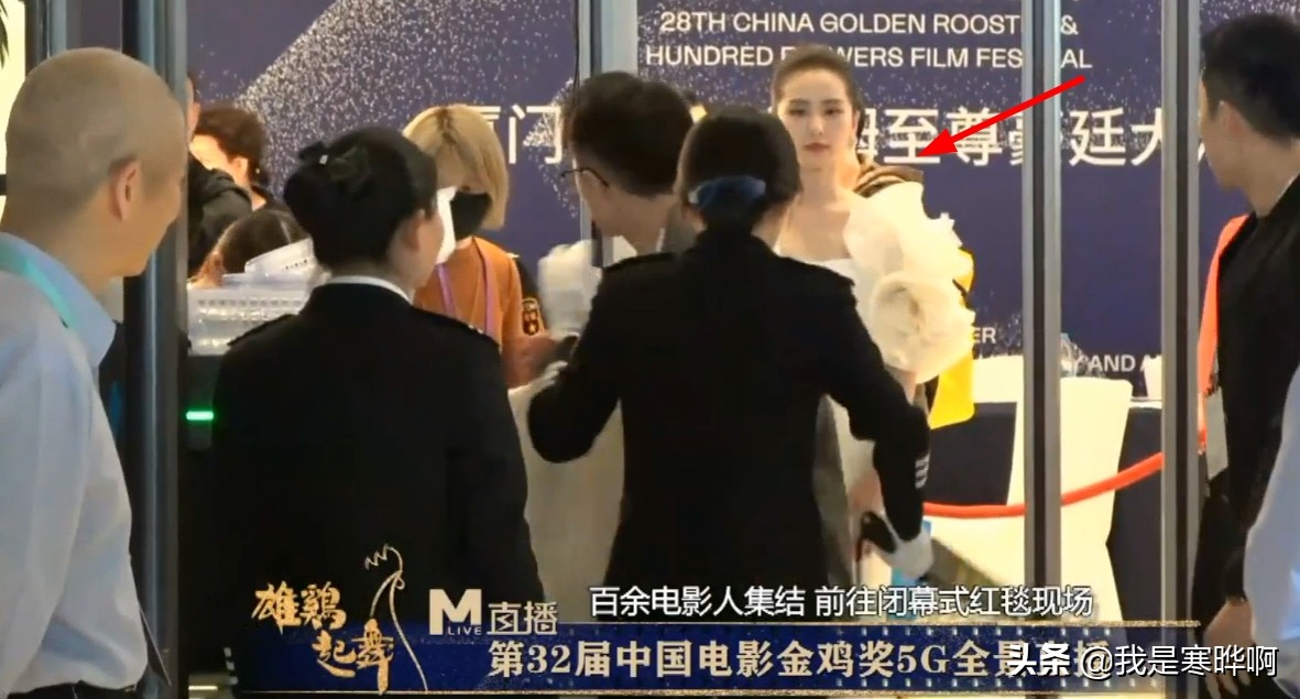 金鸡奖袁泉造型,赵薇金鸡奖视频完整版