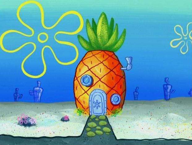 海绵宝宝动画片孩子能看吗,海绵宝宝真的有动画片吗